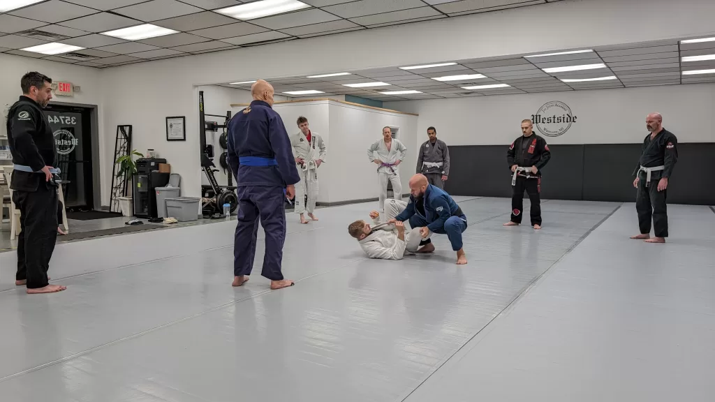 students standing on the grey mats with different colored gi's on, some in grey, white, blue, and black, all watching the instructor teach